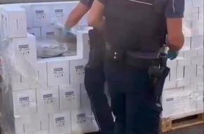 ZOLL-E: Supernasen - Zollhunde Fiete und Kim erschnüffeln über 50 kg Drogen im Wert von ½ Million Euro - 1 Person in Haft ZOLL-E: Supernasen - Zollhunde Fiete und Kim erschnüffeln über 50 kg Drogen im Wert von ½ Million Euro - 1 Person in Haft