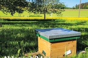 dlv Deutscher Landwirtschaftsverlag GmbH: bienen&natur informiert: Was passiert aktuell im und am Bienenstock?