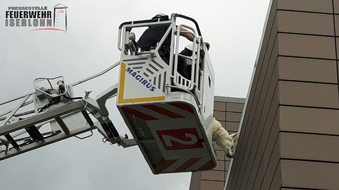 FW-MK: Rettungshunde zu Besuch bei der Feuerwehr Hagen