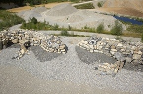 Naturama Aargau: Medieneinladung für Montag, 27. September 2021, um 9.45 Uhr in Aarau: Steinechsen im Park der Alten Kantonsschule Aarau