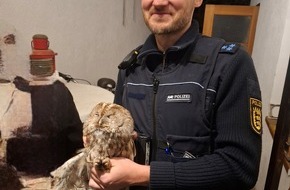 Polizeipr&auml;sidium Offenburg: POL-OG: Baden-Baden, Ebersteinburg - Einige Tage Ruhe und Pflege f&uuml;r Waldkauz angesagt - Mit guten Nachrichten ins Wochenende