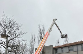 Feuerwehr Hannover: FW Hannover: Katze mit Teleskopmastbühne aus Baum gerettet