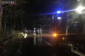 Feuerwehr Iserlohn: FW-MK: Umgestürzte Bäume