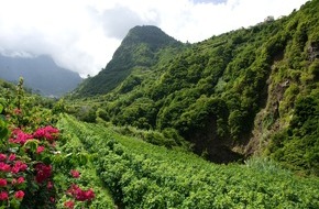 Madeira Promotion Bureau: Junge Winzer, alte Reben: Die Insel Madeira entdeckt ihren Wein neu