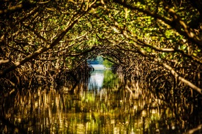 7 Highlight-Erlebnisse für 7 Tage auf den Bradenton Gulf Islands