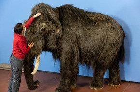 Reiss-Engelhorn-Museen Mannheim: Mammut in Mannheim gesichtet