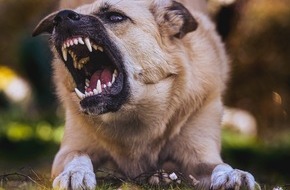 Landeskriminalamt Rheinland-Pfalz: LKA-RP: Gefährliche Hundebisse: Polizei appelliert an Hundehalter und Passanten