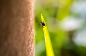 Hermes Arzneimittel GmbH: Private Müllsammelaktionen in der Natur: Anti-Zecken-Schutz nicht vergessen!