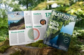 Krombacher Brauerei GmbH & Co.: Wald im Fokus: Krombacher veröffentlicht neue Ausgabe des Magazins "Blattwerk" in Kooperation mit GEO