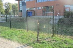 Polizeiinspektion Hildesheim: POL-HI: Sachbeschädigung; unbekannte Täter fällen Baum im Bereich der KGS Gronau und werfen ihn auf die Fahrbahn der nahegelegenen Bushaltestelle