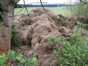 Behörden stoppen illegale Grünmüllentsorgung im Altkreis Osterode (Niedersachsen) nicht