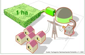 FNR Fachagentur Nachwachsende Rohstoffe: Biogas: Der Landwirt als Stromversorger / Mehr Watt durch Mais und Co