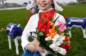 Beemster / Cono Kaasmakers: Endlich raus - der Tanz der glücklichen Kühe beim ersten Weidegang im Frühling - Nord-Holland kommt nach Köln (BILD)
