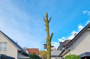 Polizeiinspektion Osnabrück: POL-OS: Bad Iburg: Sachbeschädigung an einem städtischen Baum - Zeugen gesucht