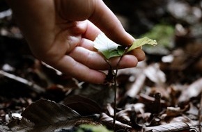 DAS FUTTERHAUS-Franchise GmbH & Co. KG: Welttierschutztag: Das Futterhaus spendet 50.000 Euro f&uuml;r Tier-, Natur- und Artenschutz