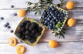 hubergroup Deutschland GmbH: Press Release - hubergroup Print Solutions launches water-based inks and varnishes for direct food contact