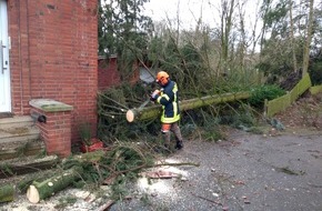 Freiwillige Feuerwehr Werne: FW-WRN: TH_1 - LZ3 - Baum auf Straße