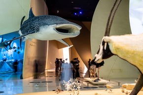 Bildungsreisen, interaktive Museen und Kulturerbe für jede Generation