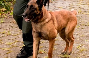 Polizei Rhein-Erft-Kreis: POL-REK: Einbruch in Baumarkt - Erftstadt