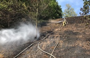 Freiwillige Feuerwehr der Stadt Lohmar: FW-Lohmar: Flächenbrand in Lohmar-Reelsiefen