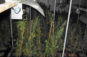 Polizei Rhein-Erft-Kreis: POL-REK: 740 Cannabispflanzen sichergestellt - Kerpen