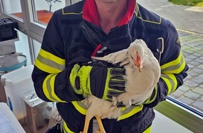 Feuerwehr München: FW-M: Eingezwicktes Hühnchen (Giesing)
