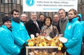 Deutscher Tierschutzbund e.V.: Tierschutz im Bundesrat: Wer will Käfighühnerqual beenden? (mit Bild)