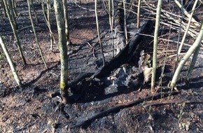 Feuerwehr Olpe: FW-OE: Waldbrand in Dahl