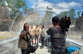 MDR Mitteldeutscher Rundfunk: MDR-Zoo-Doku-Soap &bdquo;Elefant, Tiger & Co.&ldquo; bietet mit Sonderfolgen exklusiven Blick auf Entstehung der neuen Wasserwelt Feuerland im Zoo Leipzig