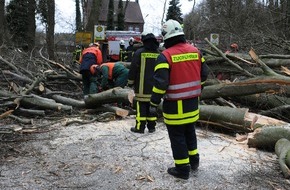 Feuerwehr Dorsten: FW-RE: Sturmtief "Niklas" sorgte für 28 Einsätze im Stadtgebiet