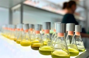 Universität Duisburg-Essen: International einflussreich und beachtet : Forschende der Universität Duisburg-Essen werden hoch zitiert