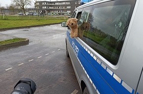 Polizei Steinfurt: POL-ST: Kreis Steinfurt, Kinderleicht über die Straße, Verkehrssicherheitsberater erklären Fahrbahnüberquerung per Video