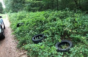 Polizeipräsidium Westpfalz: POL-PPWP: Wer hat die Autoreifen im Wald entsorgt?