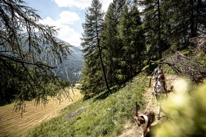 Grosse Beutegreifer und Tourismus: Neue Angebote erm&ouml;glichen vielseitige Einblicke