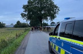 Polizei Coesfeld: POL-COE: Coesfeld, Letter Bülten / Freilaufende Pferde