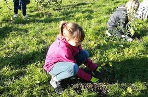 Bund der Freien Waldorfschulen: Projektstart: CO2ero – Schulen auf dem Weg zur Klimaneutralität