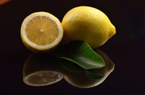 Lemon from Spain: La consommation de citrons augmente de 20 % en France au cours de la dernière décennie