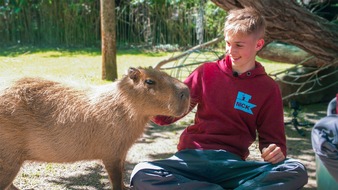 MDR Mitteldeutscher Rundfunk: Noch mehr Tiere, noch mehr Abenteuer: / MDR sucht tierliebe Teenager für 3. Staffel „Elefant, Tiger & Kids“