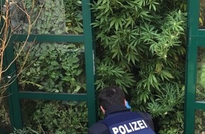 Polizeipräsidium Trier: POL-PPTR: Spektakulärer Drogenfund