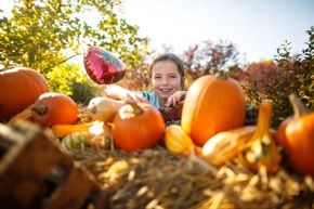 Saisonfinale im Erlebnispark Tripsdrill