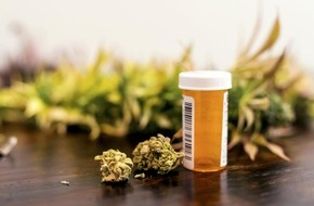 Mobil Krankenkasse: Cannabis-Report 2020: Wissenschaftlicher Beitrag zu mehr Transparenz: / "Cannabis ist kein Wundermittel!"