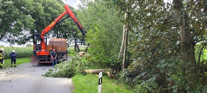 Freiwillige Feuerwehr Gemeinde Schiffdorf: FFW Schiffdorf: Feuerwehr befreit Straße von Baum - LKW-Fahrer unterstützt