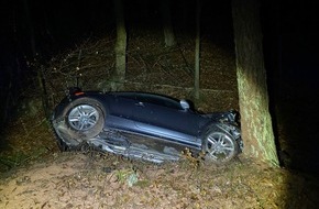 Polizeidirektion Landau: POL-PDLD: Radfahrer ausgewichen und mit einem Baum kollidiert