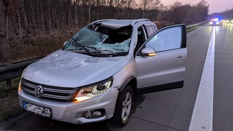 Polizeiinspektion Cuxhaven: POL-CUX: PKW f&auml;hrt auf mit Stahltr&auml;gern beladenen LKW auf - Fahrzeugf&uuml;hrer schwer verletzt (Foto im Anhang)