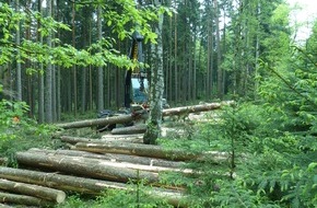 Deutsche Bundesstiftung Umwelt (DBU): Exkursion zur DBU-Naturerbefläche Pöllwitzer Wald - Anmeldungen ab sofort