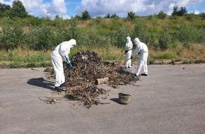 Polizeiinspektion Hameln-Pyrmont/Holzminden: POL-HM: Leichenteil in Weser gefunden