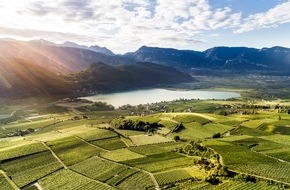 IDM Südtirol: Südtirol: Vereinzelte Bären kein Risiko / Begegnungen mit den scheuen Wildtieren äußerst selten, keine verhaltensauffälligen Tiere in Südtirol