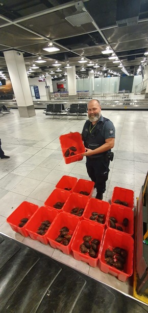 HZA-D: Schleimspur führt zum Schmuggelgut/Zöllner am Düsseldorfer Flughafen finden 93 afrikanische Riesenschnecken