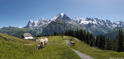 Schilthornbahn AG: Aktiv am Schilthorn: Adrenalin und Entspannung / Mürren - Schilthorn als Aktiv-Erholungsgebiet im Sommer