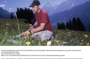Schweizerischer Nationalfonds / Fonds national suisse: FNS: Image du mois septembre 2006: Un apport de chaux modifie la  végétation alpine pendant des décennies
